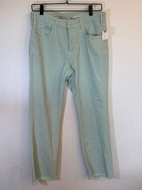 Anthropologie Pilcro and the Letterpress Script High Rise Mint Green Jeans Sz 30